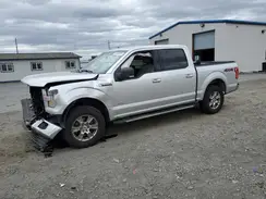 1FTEW1EP8HFB10528 2017 FORD F-150