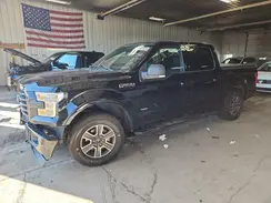 1FTEW1EP8HFB19505 2017 FORD F-150