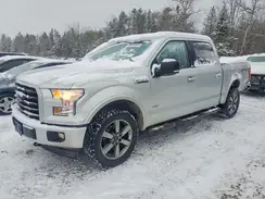 1FTEW1EP8HFB46171 2017 FORD F-150