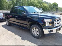 1FTEW1EP8HFB53900 2017 FORD F-150