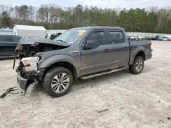 1FTEW1EP8HFB79347 2017 FORD F-150