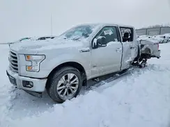 1FTEW1EP8HFC44861 2017 FORD F-150