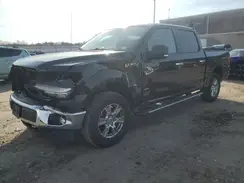 1FTEW1EP8HFC75334 2017 FORD F-150