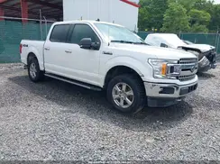 1FTEW1EP8KFB61535 2019 FORD F-150