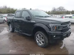 1FTEW1EP8KFD02281 2019 FORD F-150