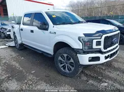 1FTEW1EP8KKD11487 2019 FORD F-150