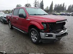 1FTEW1EP8KKD86268 2019 FORD F-150