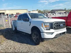1FTEW1EP8PKD30564 2023 FORD F-150