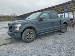 1FTEW1EP9GFD39704 2016 FORD F-150