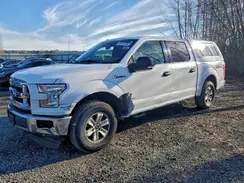 1FTEW1EP9GKD89736 2016 FORD F-150
