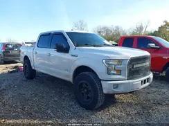 1FTEW1EP9GKF19255 2016 FORD F-150