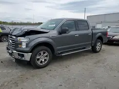 1FTEW1EP9HFA82335 2017 FORD F-150