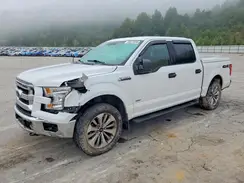 1FTEW1EP9HFB23725 2017 FORD F-150