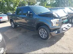 1FTEW1EP9HFC00447 2017 FORD F-150