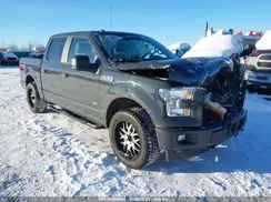 1FTEW1EP9HKE23059 2017 FORD F-150