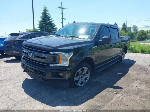 1FTEW1EP9KFB61981 2019 FORD F-150 - Image 2