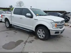 1FTEW1EP9KKC47394 2019 FORD F-150