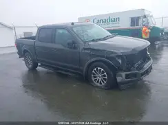 1FTEW1EP9KKE42427 2019 FORD F-150