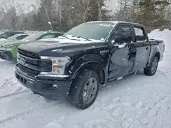 1FTEW1EP9LFC60415 2020 FORD F-150