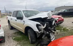 1FTEW1EP9MFB51843 2021 FORD F-150