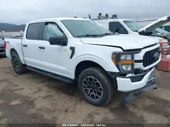 1FTEW1EP9PFB37249 2023 FORD F-150