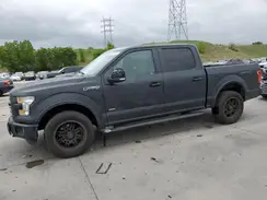 1FTEW1EPXGKD31392 2016 FORD F-150
