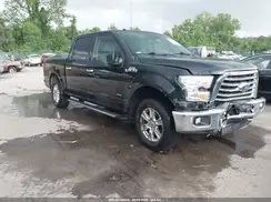 1FTEW1EPXGKE20038 2016 FORD F-150