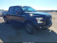 1FTEW1EPXGKE65383 2016 FORD F-150