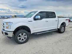 1FTEW1EPXHKD24993 2017 FORD F-150