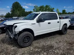 1FTEW1EPXKFB12918 2019 FORD F-150