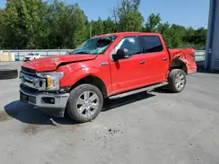 1FTEW1EPXKFB23532 2019 FORD F-150