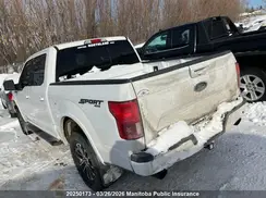 1FTEW1EPXKFB66770 2019 FORD F-150