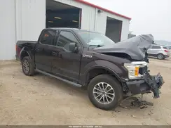 1FTEW1EPXKFD13511 2019 FORD F-150