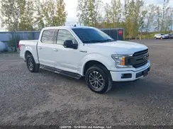 1FTEW1EPXKFD22810 2019 FORD F-150