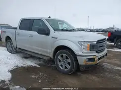 1FTEW1EPXKKC45010 2019 FORD F-150