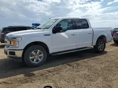 1FTEW1EPXKKC50501 2019 FORD F-150