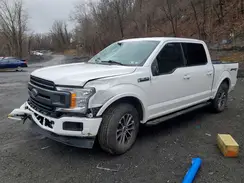 1FTEW1EPXLFB07963 2020 FORD F-150