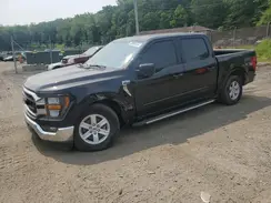 1FTEW1EPXPFD33815 2023 FORD F-150