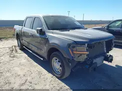 1FTEW1KP4RKE68528 2024 FORD F-150