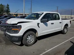 1FTEW1KP4RKF16433 2024 FORD F-150