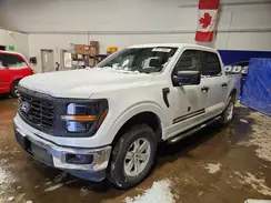 1FTEW1LP1RKD09075 2024 FORD F-150