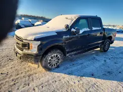 1FTEW1P44LKE66087 2020 FORD F-150