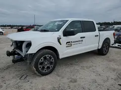1FTEW2KP0RKD59604 2024 FORD F-150
