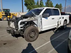 1FTEW2KP4RFB10747 2024 FORD F-150