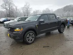 1FTEW2KP4RKD43597 2024 FORD F-150