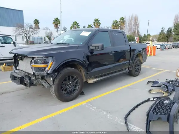 1FTEW2KP4RKE56661 2024 FORD F-150 - Image 2