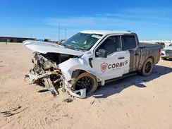 1FTEW2KP7RKF23110 2024 FORD F-150