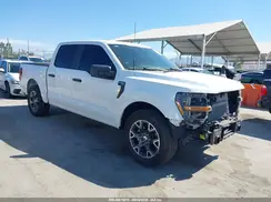 1FTEW2KP7RKF49819 2024 FORD F-150