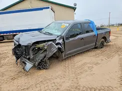 1FTEW2KP7SKD63784 2025 FORD F-150