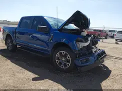1FTEW2KP8RFA28391 2024 FORD F-150